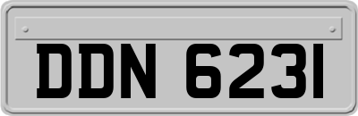 DDN6231