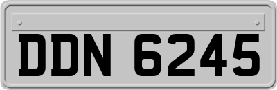 DDN6245