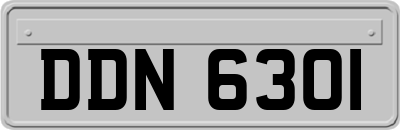 DDN6301