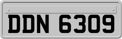 DDN6309