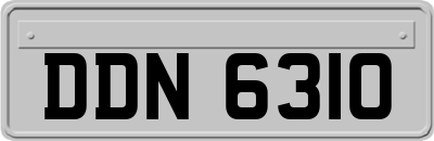 DDN6310