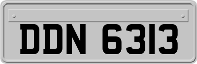 DDN6313