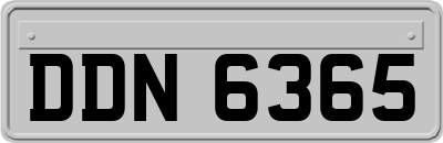 DDN6365
