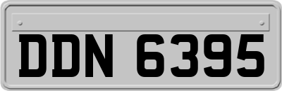 DDN6395