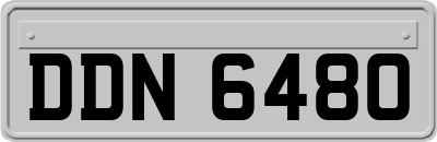 DDN6480