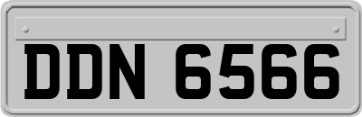 DDN6566
