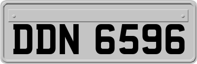 DDN6596