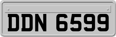 DDN6599