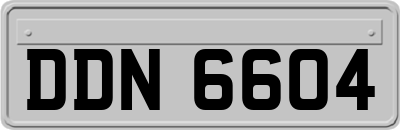 DDN6604