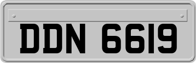 DDN6619