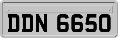 DDN6650