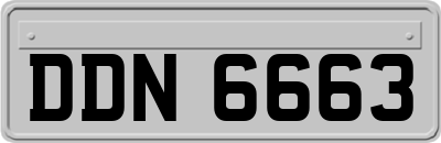 DDN6663
