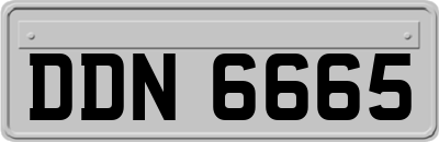 DDN6665