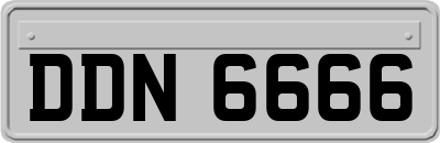 DDN6666