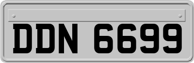 DDN6699