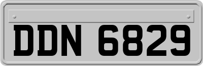 DDN6829