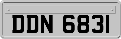 DDN6831