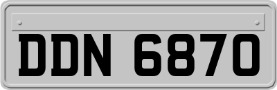 DDN6870