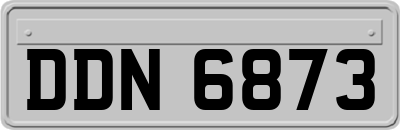 DDN6873
