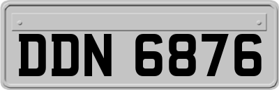 DDN6876