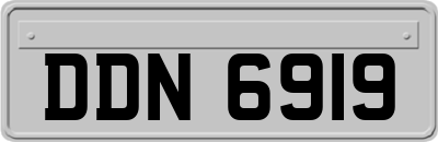 DDN6919