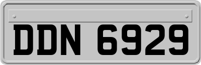 DDN6929
