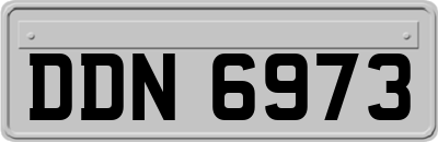 DDN6973
