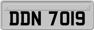 DDN7019