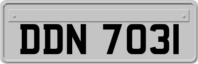 DDN7031