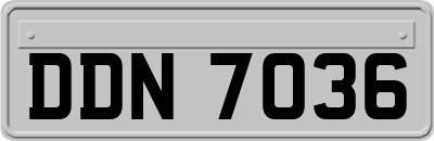DDN7036