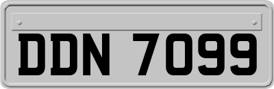 DDN7099