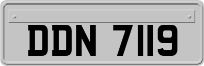 DDN7119