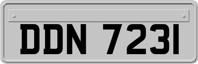 DDN7231