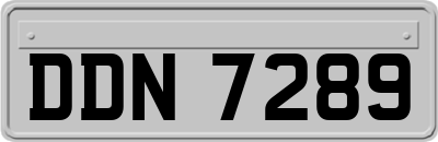 DDN7289