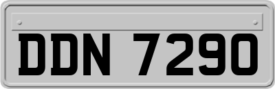 DDN7290
