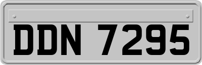 DDN7295