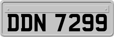DDN7299