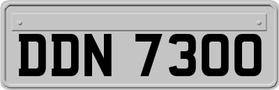 DDN7300