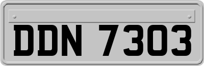 DDN7303