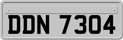 DDN7304