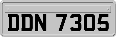 DDN7305