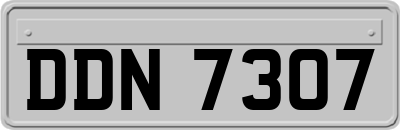 DDN7307