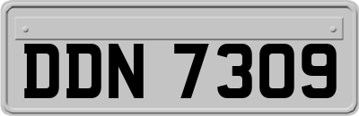 DDN7309