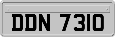 DDN7310