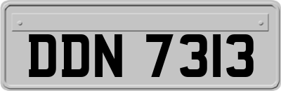 DDN7313
