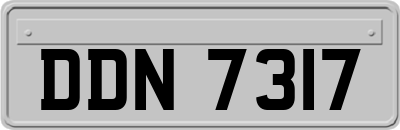 DDN7317