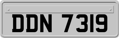 DDN7319