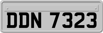 DDN7323