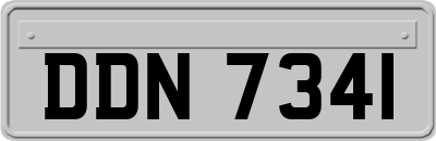 DDN7341