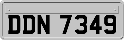 DDN7349